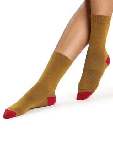 Clove / Cherry Icebreaker Merino Lifestyle Fine Gauge Crew Women's Socks | AU 1435AHKP